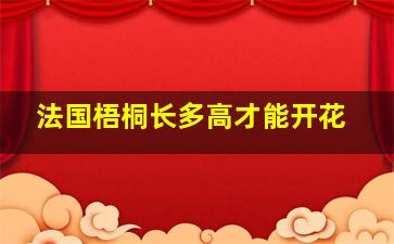 法国梧桐长多高才能开花