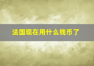 法国现在用什么钱币了