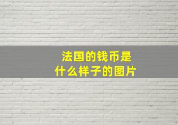 法国的钱币是什么样子的图片