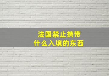 法国禁止携带什么入境的东西