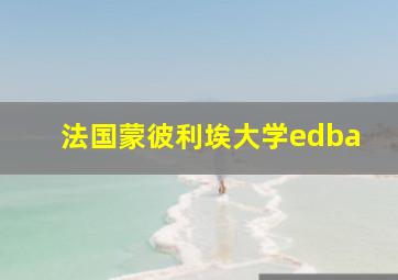 法国蒙彼利埃大学edba