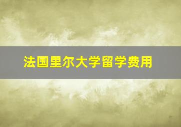 法国里尔大学留学费用