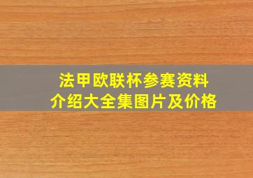 法甲欧联杯参赛资料介绍大全集图片及价格