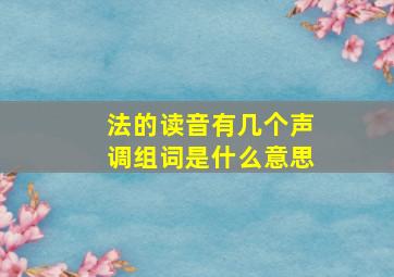 法的读音有几个声调组词是什么意思