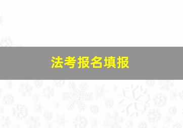 法考报名填报