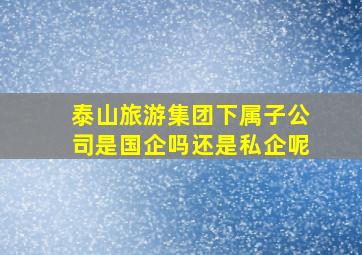 泰山旅游集团下属子公司是国企吗还是私企呢