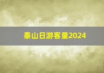 泰山日游客量2024