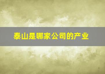 泰山是哪家公司的产业