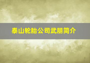 泰山轮胎公司武朋简介