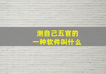 测自己五官的一种软件叫什么