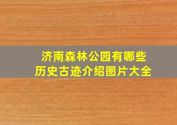 济南森林公园有哪些历史古迹介绍图片大全