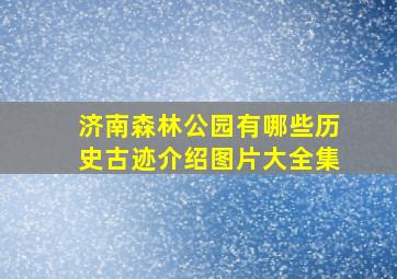 济南森林公园有哪些历史古迹介绍图片大全集