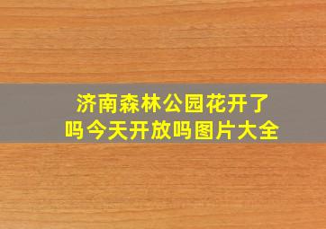 济南森林公园花开了吗今天开放吗图片大全