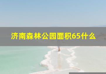 济南森林公园面积65什么