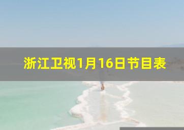 浙江卫视1月16日节目表