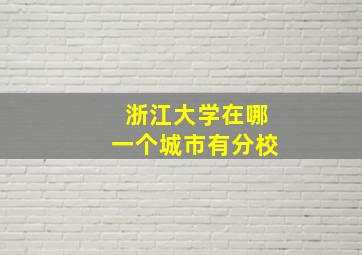 浙江大学在哪一个城市有分校