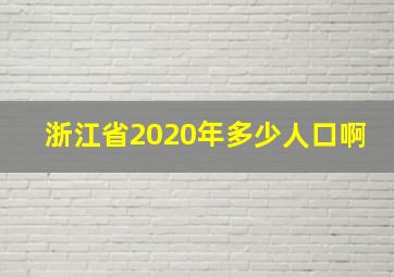 浙江省2020年多少人口啊