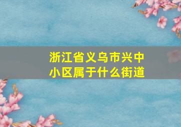 浙江省义乌市兴中小区属于什么街道