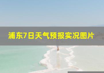 浦东7日天气预报实况图片