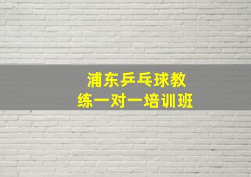 浦东乒乓球教练一对一培训班