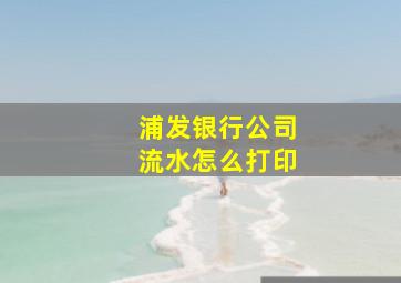 浦发银行公司流水怎么打印