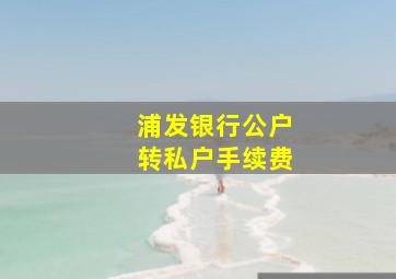 浦发银行公户转私户手续费