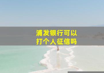 浦发银行可以打个人征信吗