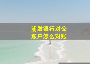 浦发银行对公账户怎么对账