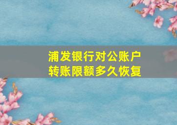 浦发银行对公账户转账限额多久恢复