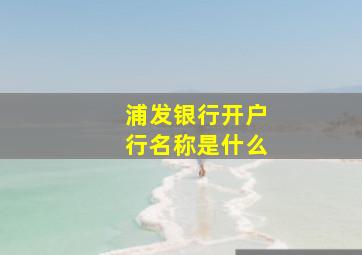 浦发银行开户行名称是什么