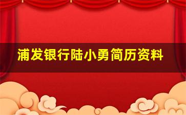 浦发银行陆小勇简历资料