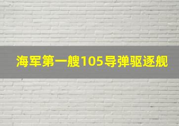 海军第一艘105导弹驱逐舰