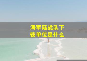 海军陆战队下辖单位是什么