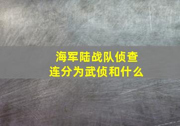 海军陆战队侦查连分为武侦和什么