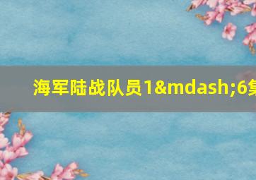 海军陆战队员1—6集