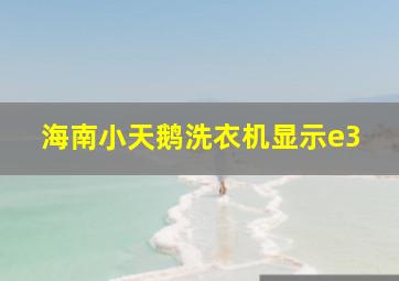 海南小天鹅洗衣机显示e3