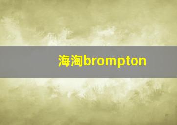 海淘brompton