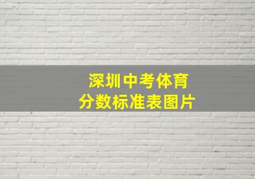 深圳中考体育分数标准表图片