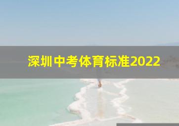 深圳中考体育标准2022