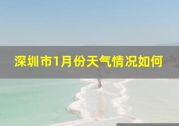 深圳市1月份天气情况如何