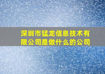 深圳市猛龙信息技术有限公司是做什么的公司