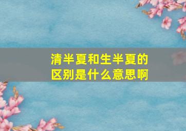 清半夏和生半夏的区别是什么意思啊