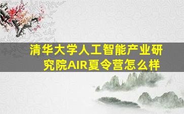 清华大学人工智能产业研究院AIR夏令营怎么样