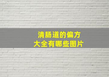 清肠道的偏方大全有哪些图片