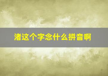 渚这个字念什么拼音啊