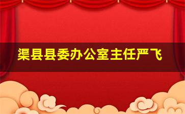 渠县县委办公室主任严飞