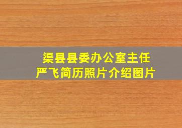 渠县县委办公室主任严飞简历照片介绍图片