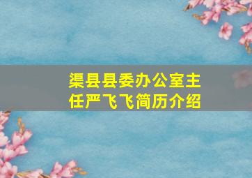 渠县县委办公室主任严飞飞简历介绍