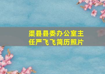 渠县县委办公室主任严飞飞简历照片