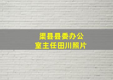 渠县县委办公室主任田川照片